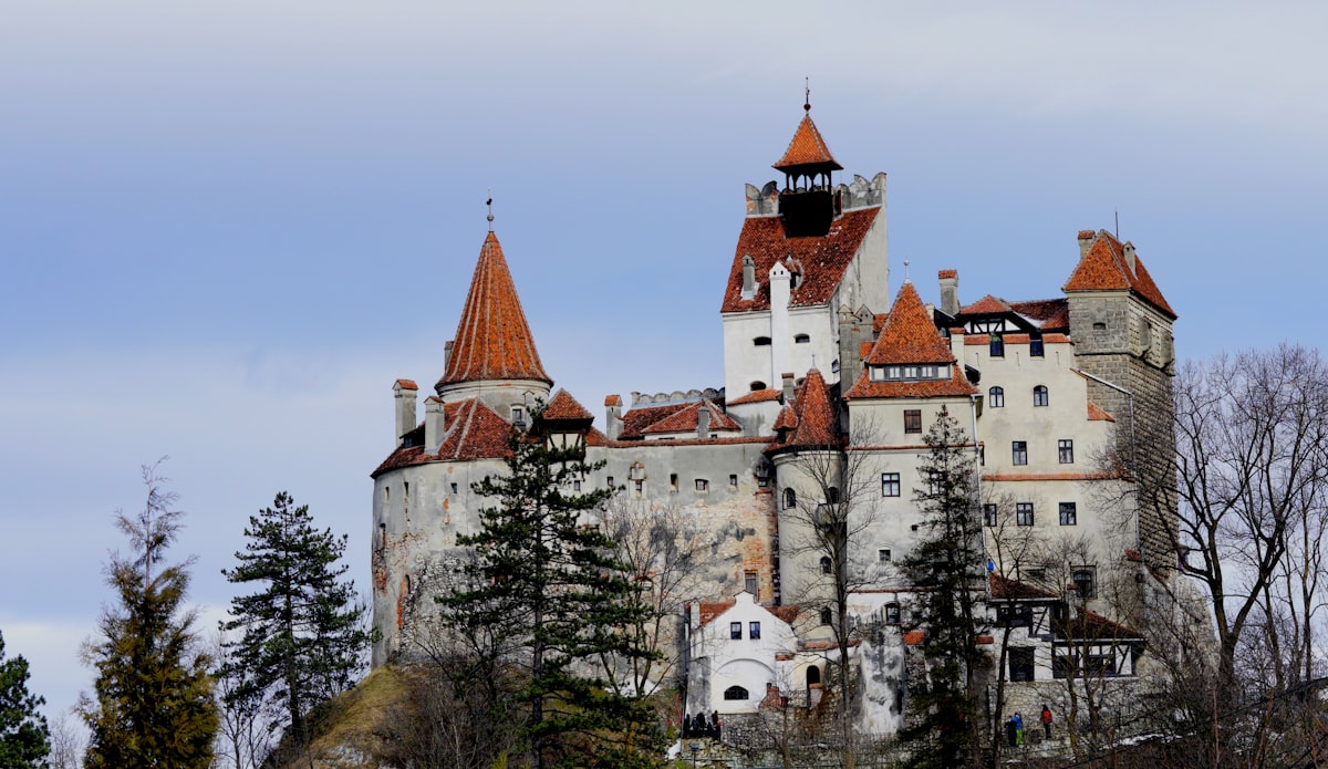 Bran Castle in winter light, its white walls and narrow red conical turrets rising from the wooded rock outcrop