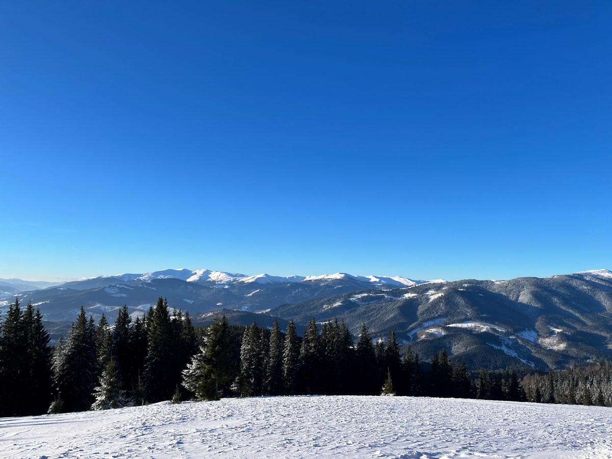 Snow-laden pines along a ridge, with ski runs cut into the forested mountains beyond under a clear winter sky